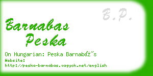 barnabas peska business card